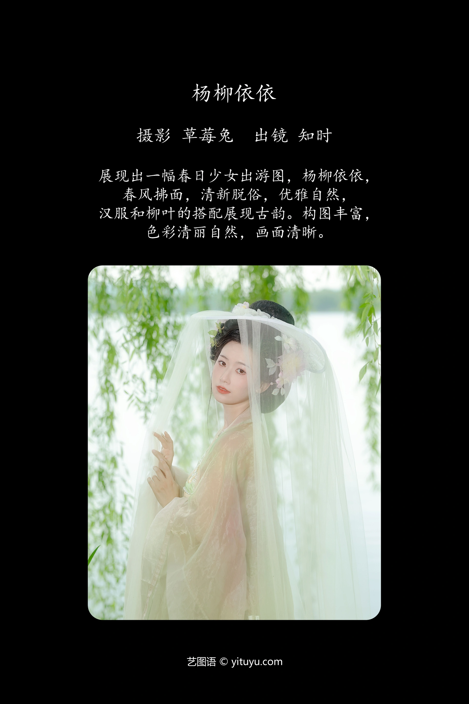 [YITUYU艺图语]2024.09.24 杨柳依依 知时 0